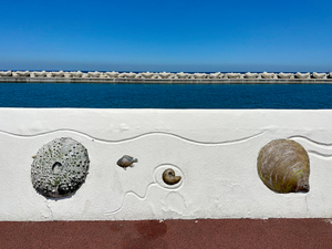 Boardwalk Jeju South Korea 2