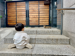 Bukchon Hanok Village Seoul Korea 9