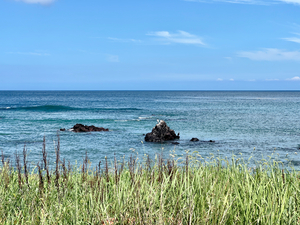 Calm Ocean Udo South Korea