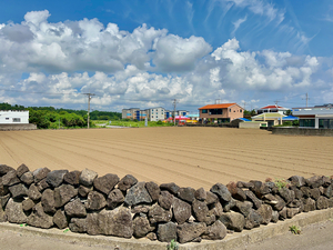 East Coast Jeju South Korea 1