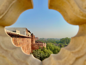 Agra Fort 10