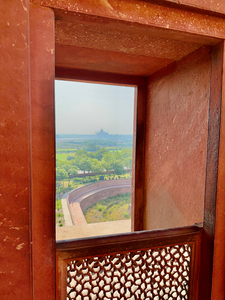 Agra Fort 15