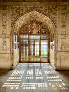 Agra Fort 16