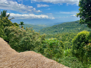 From the Rooftop Munduk Bali