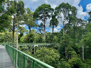 Kabili Sepilok Forest Reserve 2