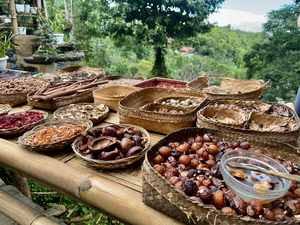 Looks Delicious Munduk Bali