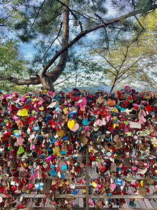 Namsan Tower Seoul South Korea 2