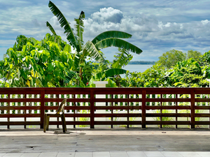 Nice Balcony Sandakan Borneo