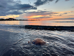 Samyang Beach Sunset Jeju South Korea 6