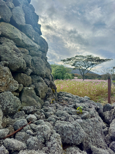 Stone Park Jeju South Korea 7