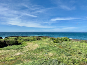 The Calm Jeju South Korea