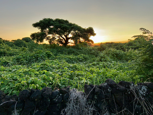 The Sunset Behind Jeju South Korea