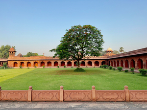 The Taj Mahal Collection 29