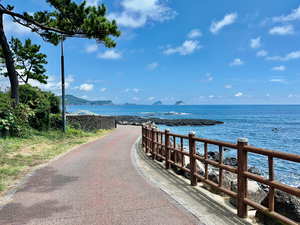 The Way Jeju South Korea