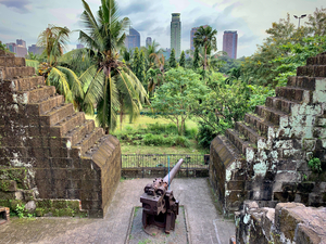 A Cannon in the City