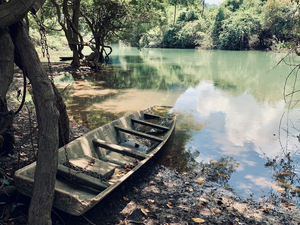 Abandoned Boat