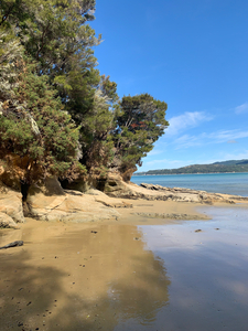 Abel Tasman National Park New Zealand 3