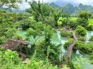Across the Bamboo Bridge