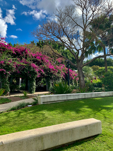 At the Park in Brisbane