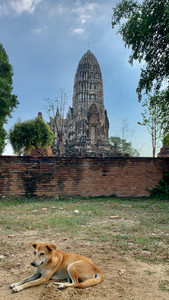 Ayutthaya Historical Park Temples 10