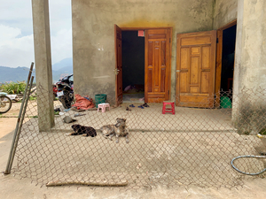 Behind the Crooked Fence