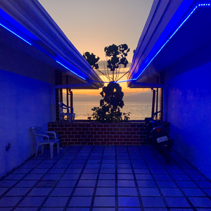 Blue Neon Sunset