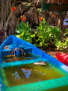 Blue  Green Boat Reflection with Flowers