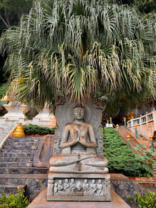Buddha Under the Tree
