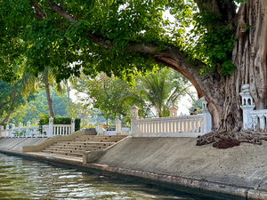 By the Canal in Bangkok