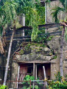 Cracking Down Building