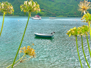 Empty Boat on the Lake