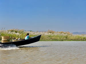 Fast Boat on the River