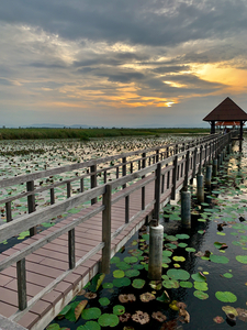 Follow to the Gazebo