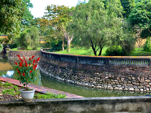Fortified Red Flowers