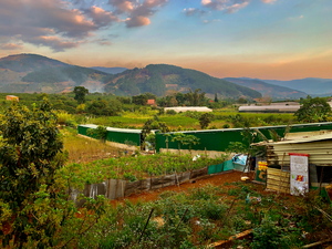 Gardens Mountains  Sunset