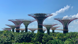 Gardens by the Bay Singapore