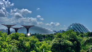 Gardens by the Bay Singapore 1