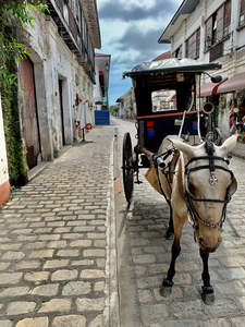 Horse Around Vigan Philippines