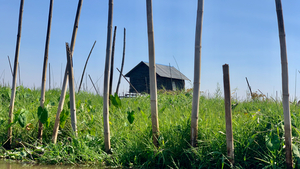 House behind the Bamboos