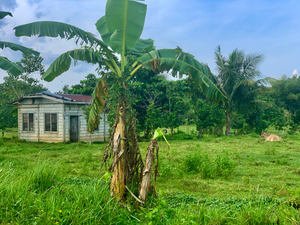 House on the Farm in the Philippines 1