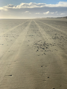 Infinite Sandy Beach