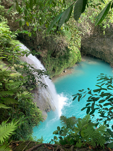 Kawasan Falls Philippines 1