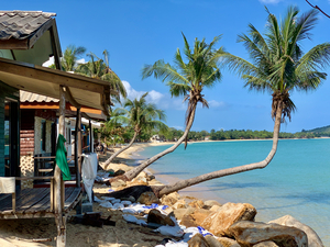 L Shaped Palm Trees Beach 2