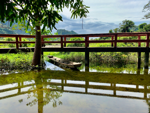 Little Bridge Reflections