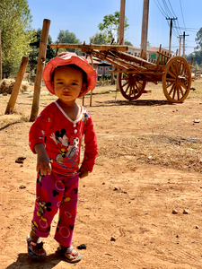 Little Girl on the Farm