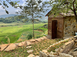 Little House by the Rice Fields