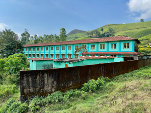 Living in the Tea Plantation