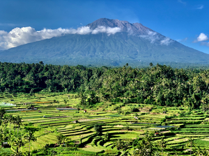 Mount Agung with Rice Fields Bali