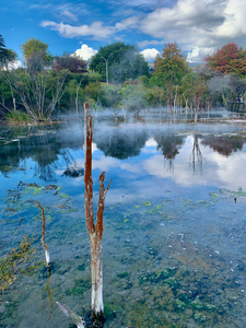 Mysterious Reflection