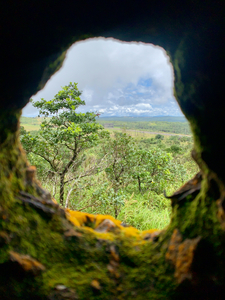 Nature Through the Hole